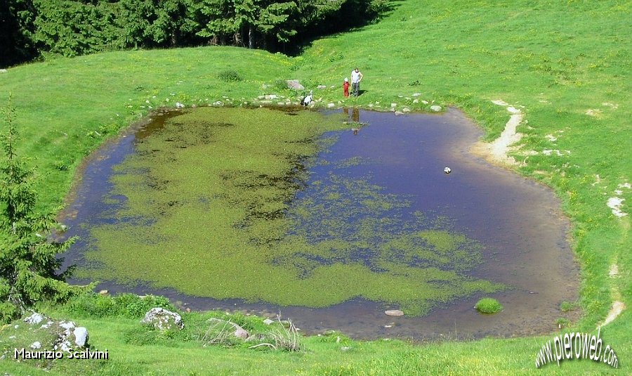 04 Lo stagno della Baita bassa.JPG